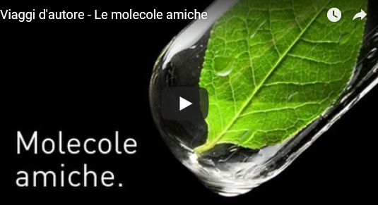 molecole