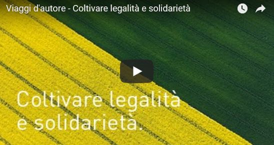 solidarieta