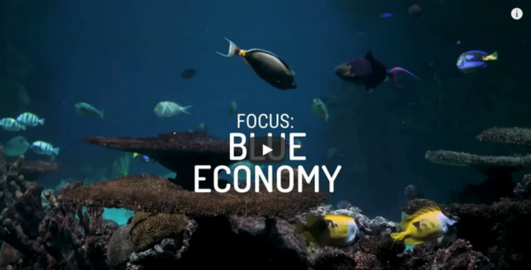 In 30 secondi: i numeri delle imprese - Focus: Economia del Mare
