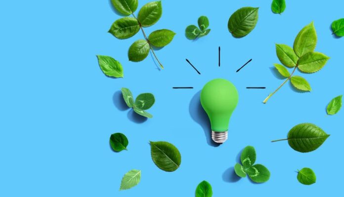Green light bulb with green leaves - Flat lay