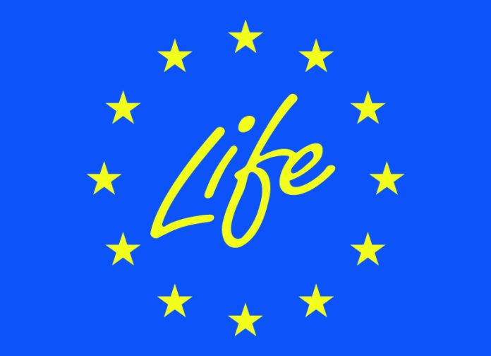 life(1)