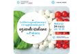 La filiera agroalimentare e le opportunità per le aziende italiane in Polonia: il 24 marzo il webinar di Assocamerestero