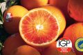 L’Arancia Rossa di Sicilia IGP protagonista a Madrid